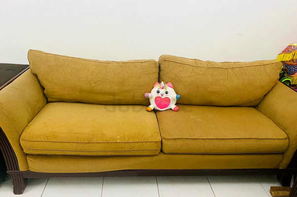 2 Sofas throw away price