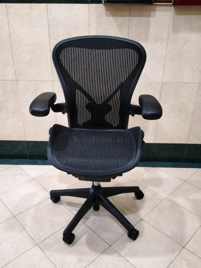 Model Herman Miller Aeron Classic Chair PostureFit Fully Loaded Size A