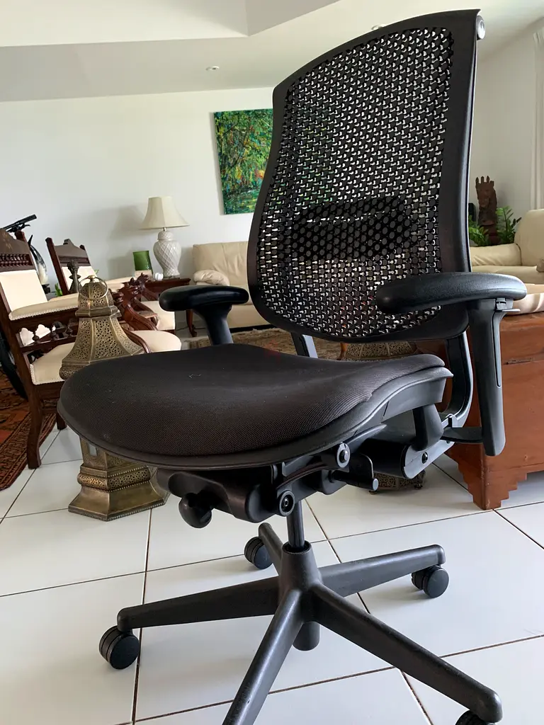 Herman Miller “Celle” ergonomic office chair