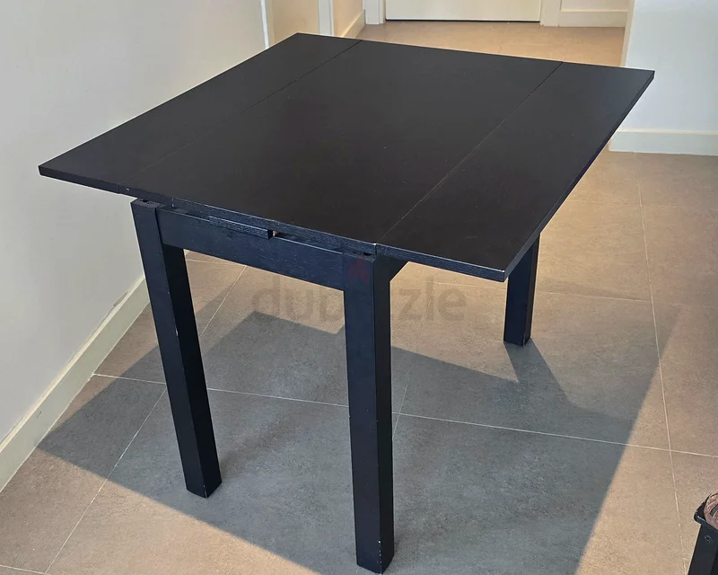 Ikea Extendable Table 2 Chairs 2 Cushions