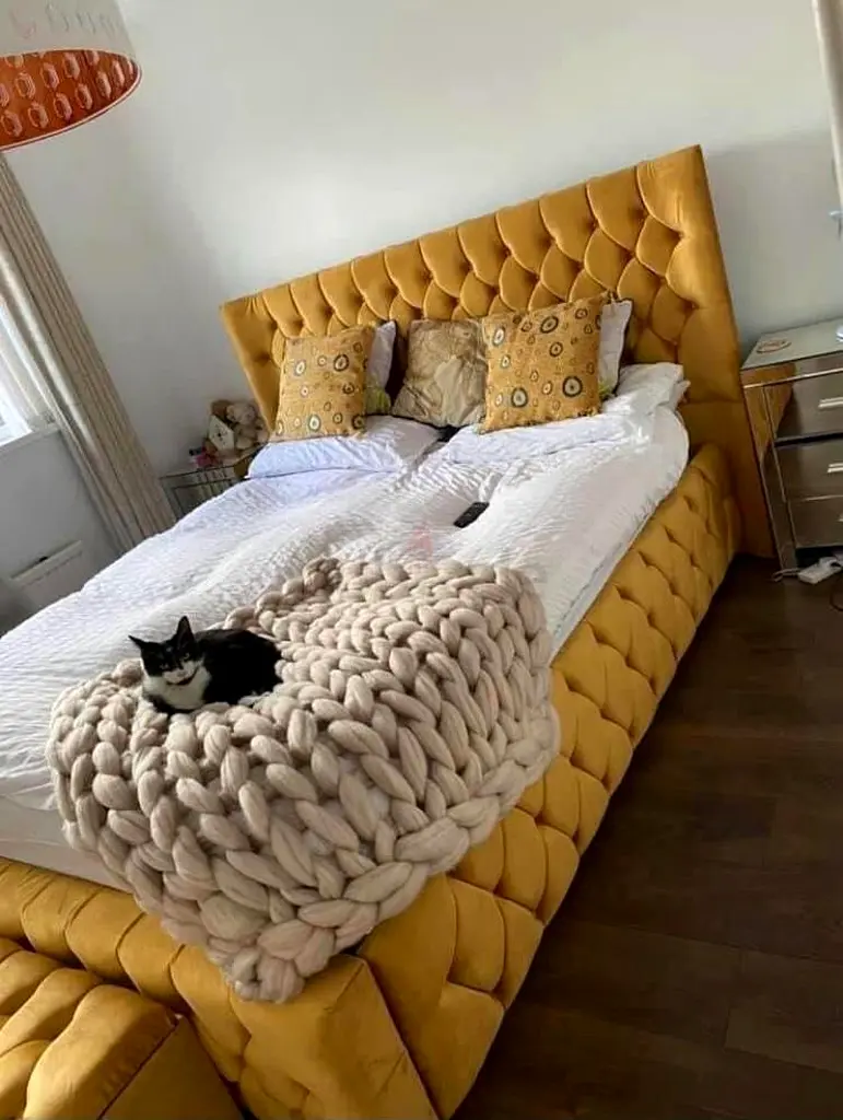 160x200 Size Beds Queen Size Bed Frames Velvet