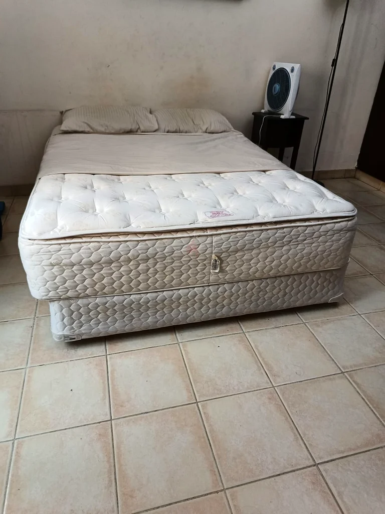 Queen Bed and mattress